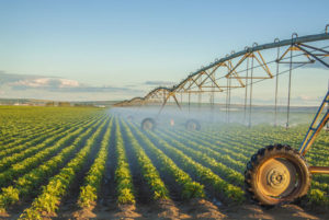 Idaho Agriculture