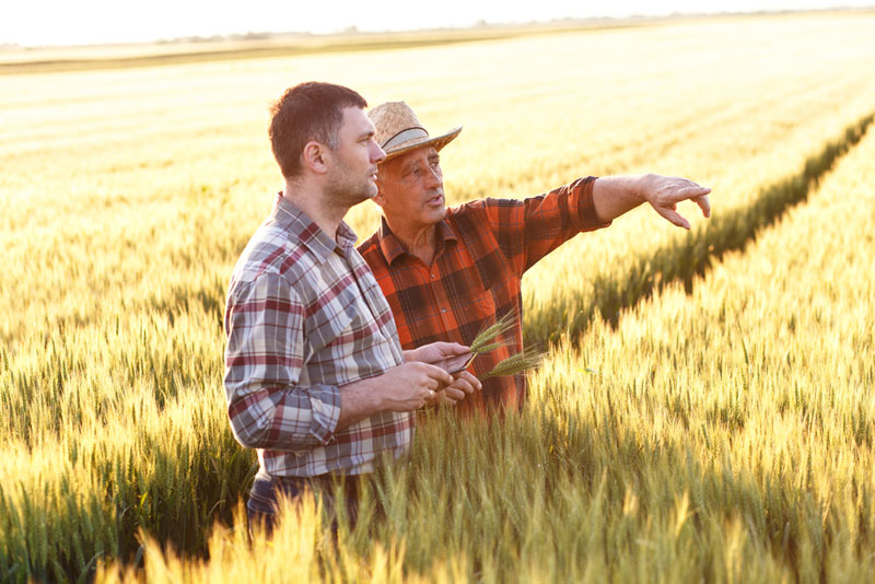 Idaho Farmer