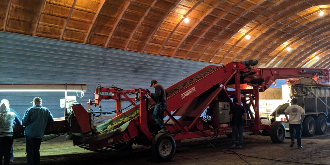 Potato Harvest 2019